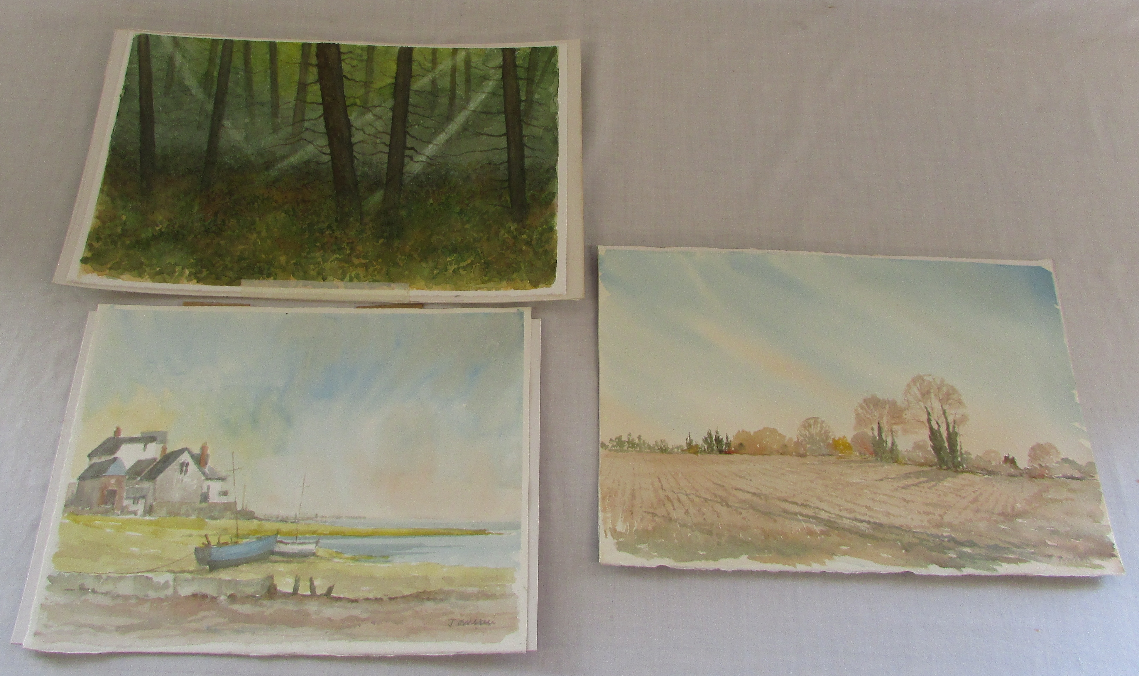Collection of unframed watercolours with - Image 5 of 5