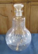 Large early Victorian display Carboy Pha