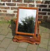 Victorian toilet mirror