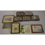 Framed pictures and various fossils/ores