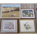 Various ornithological prints/paintings