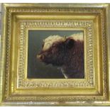 Small oil on canvas portrait of a bull i