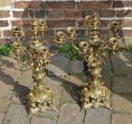 Pair of brass candelabra's in the rococo