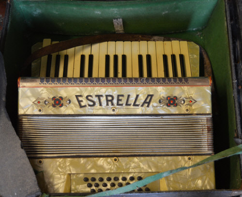 Estrella accordion (af)