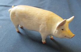 Beswick pig 'C H Wall champion boy'