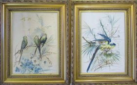 Pair of bird watercolours by A E Dobdins