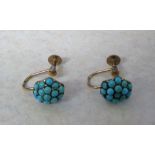 Pair of 9ct gold and turquoise cluster e