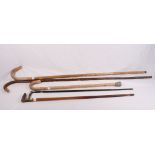 Three walking sticks, two with white metal mounts, and two crooks