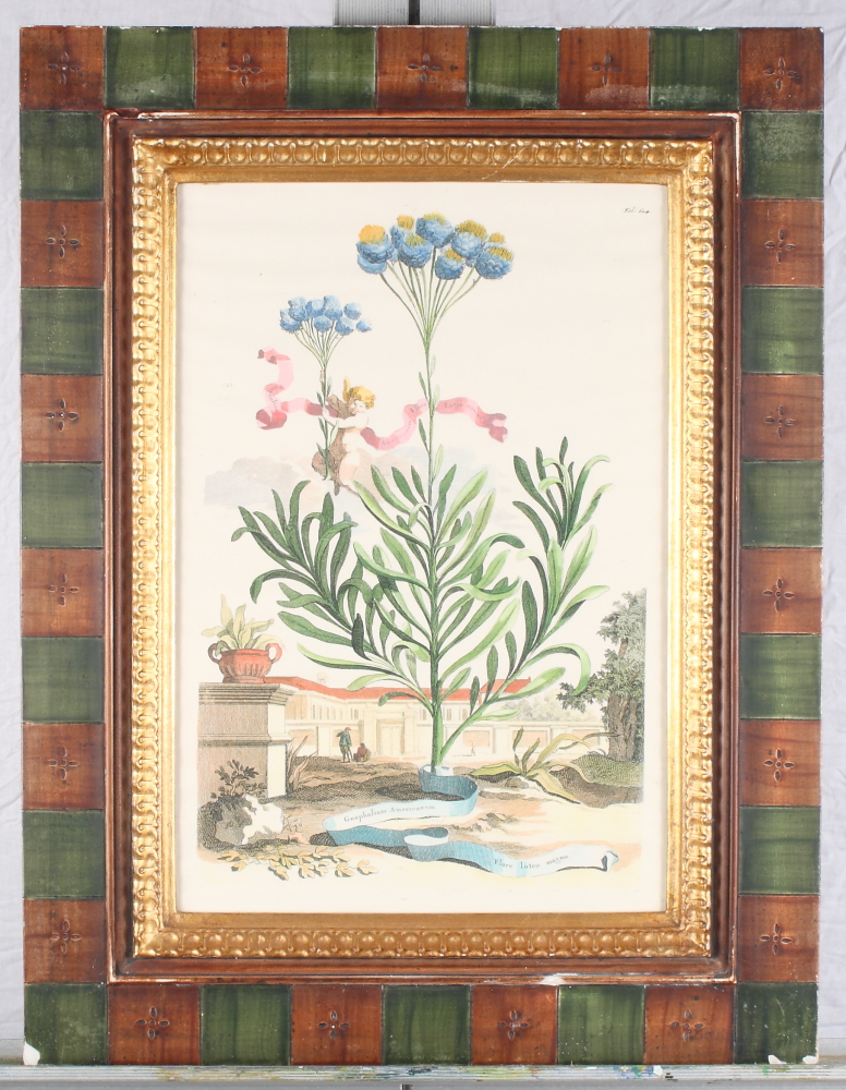 A set of three 19th Century coloured botanical prints, 13" x 9", in green and gilt frames - Image 3 of 3