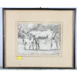 I P: a black crayon sketch, mare and foal, initialled, 6" x 8 1/2"