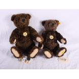 Two "1920 Classic" reproduction Steiff growler bears, dark brown mohair, model numbers 000836 and
