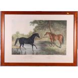 J Harris after Laporte: aquatint of Beeswing and Hercules, from The British Stud published by Fores,