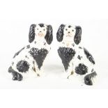 A pair of 19th Century Staffordshire spaniels, 8" high