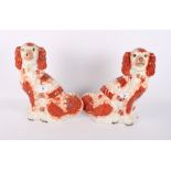 A pair of 19th Century Staffordshire dogs, 13" high