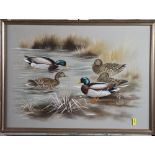 Paul A Nicolas 1973: body colours, study of ducks, 15" x 21", in silvered frame