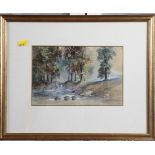 C Tooke: watercolours, study of trees by a stream heightened in white, 5" x 8 1/2", in frame