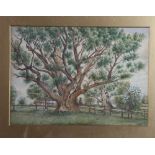 F H B: watercolours, "A Hampshire Oak", initialled and dated 1888, 9 1/2" x 14", and another