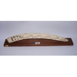 An early 20th Century carved ivory elephant bridge, 20" long, on hardwood base