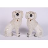 A pair of 19th Century Staffordshire poodles, 7" high, and two gilt decorated spaniels, one 10"