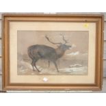 H J: a crayon and body colour study of a stag, 10 3/4" x 17 1/2", in gilt frame