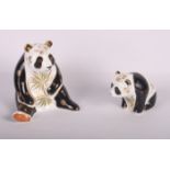 Two Crown Derby gold stopper paperweights, Giant Panda and Baby Panda