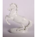 A Vienna white porcelain model of a rearing Lipizzaner horse, 10" high