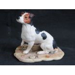 A Border Fine Arts Jack Russell Terrier figurine standing 13cm high.