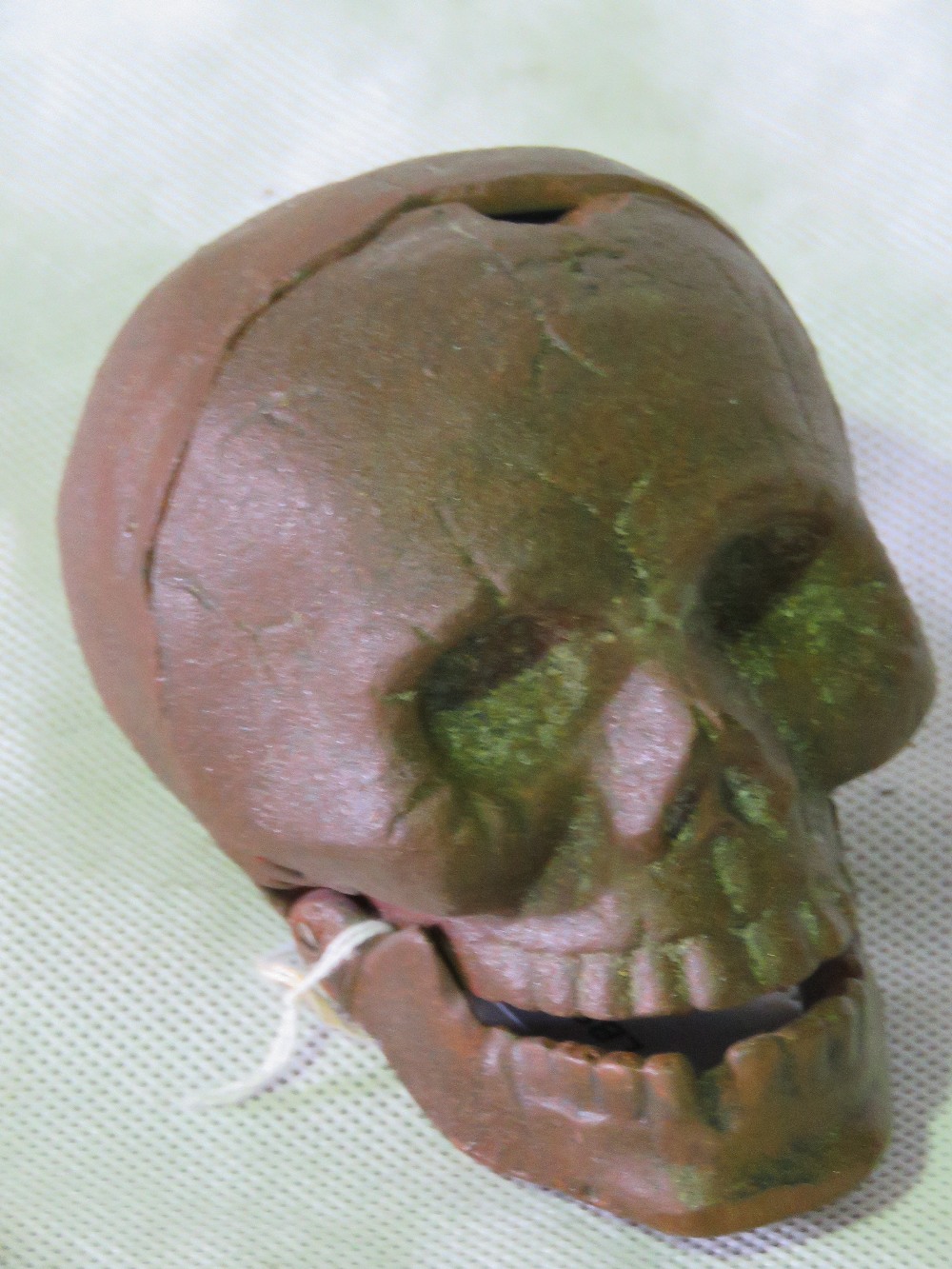 A cast skull with hinged jaw, 9cm high