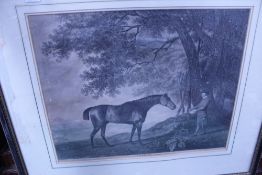 AN 18TH.C.ENGRAVING AFTER GEORGE STUBBS ENTITLED SHARKE