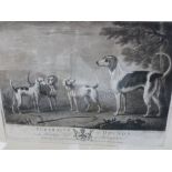 Late 18th Century print of fox hounds after Wootton by R Earlom, after a painting at Houghton