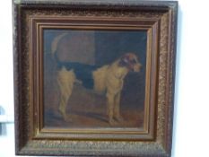 19th Century English School. Study of a fox hound. Oil on canvas