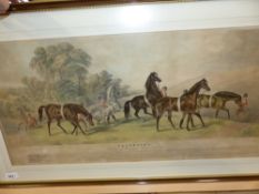 Two large folio sporting prints, Favourites, a hand coloured print after S E Jones and The Meet of