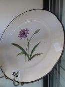 Two early Derby Botanical decorated plates. Shaped brown rims