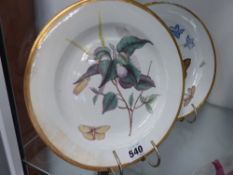 A pair of early 19th Century cabinet plates each with botanical and insect decoration. Gilt rims