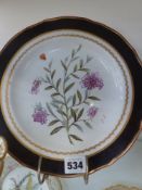 An early Derby Botanical decorated plates. Shaped rim. Brown border with gilt