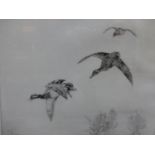 Winifred Austen (1876-1964), Mallard in flight, signed in pencil, etching, 22.5 x 27.5cm, together