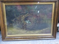 B.L. Hold (19th Century), Still life studies of nests with bird's eggs, signed, oil on canvas, a