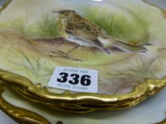 A service of bone china plates, handpainted with ornithological specimens by D Wilson, gilt edged.