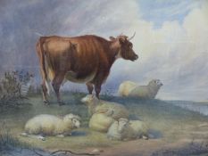 Manner of Thomas Sidney Cooper, Cattle and sheep in a river landscape, watercolour, 50.5 x 68.5cm.