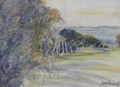 Joan Hammond (1923-2006), The Black Mountains from the Brecon Beacons, signed and dated '89, pastel,