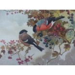 Winifred Austen (1876-1964), Berries and Bullfinches, signed and titled in pencil, aquatint, 22 x