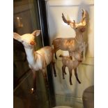 Three Beswick pottery figures of deer, a stag, a doe and a fawn. height of largest 9cm