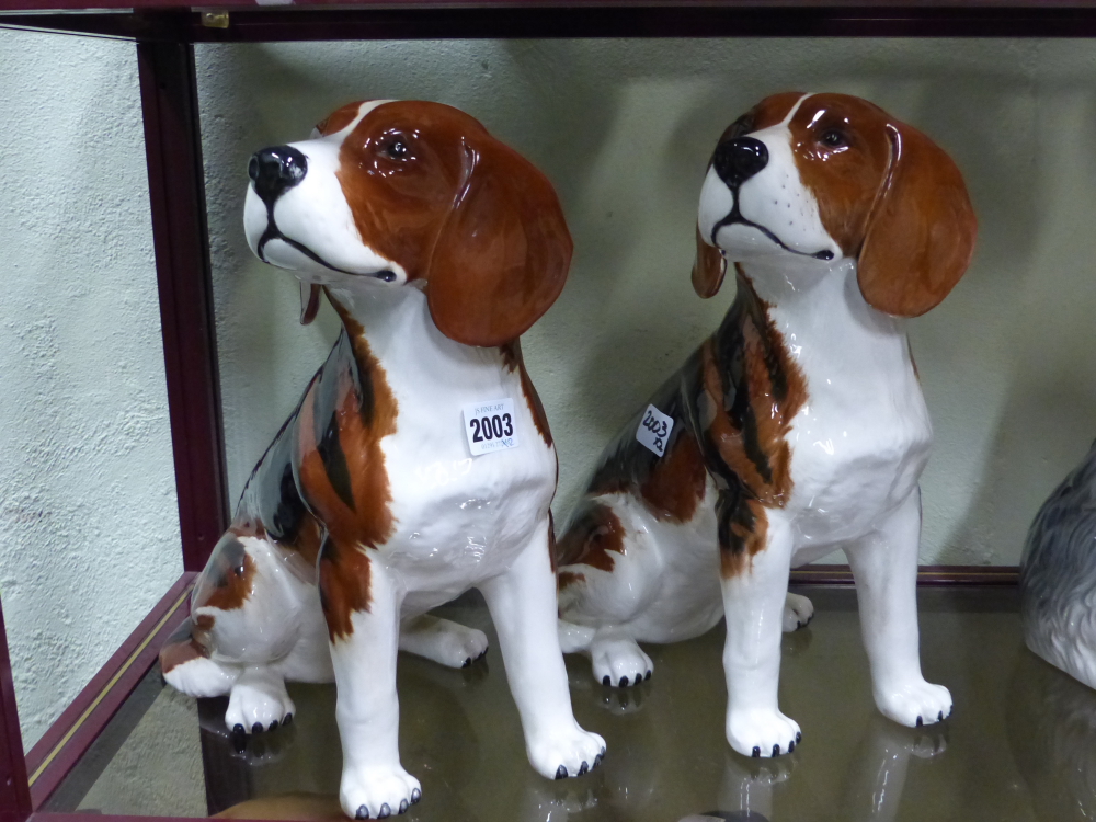 A pair of Beswick pottery figures of fox hounds. 32cm high
