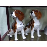 A pair of Beswick pottery figures of fox hounds. 32cm high