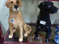 Two Beswick pottery figures of retrievers one gold one black. 33cm high