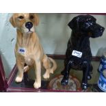 Two Beswick pottery figures of retrievers one gold one black. 33cm high