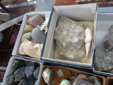 AN EXTENSIVE COLLECTION OF SHELLS, FOSSILS, ROCKS AND MINERALS, MANY WITH IDENTITYFYING LABELS.
