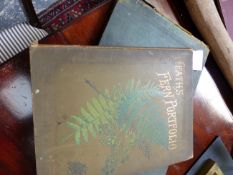 BOOK: THE FERN PORTFOLIO, FRANCIS GEORGE HEATH, LONDON 1885 TOGETHER WITH THRILLING INCIDENTS IN