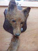 A FOX MASK AND BRUSH