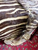 A LARGE ZEBRA HIDE WITH EARS AND TAIL